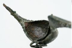 Foto von Bronzekahnfibel (NHMW-PRAE-025895)